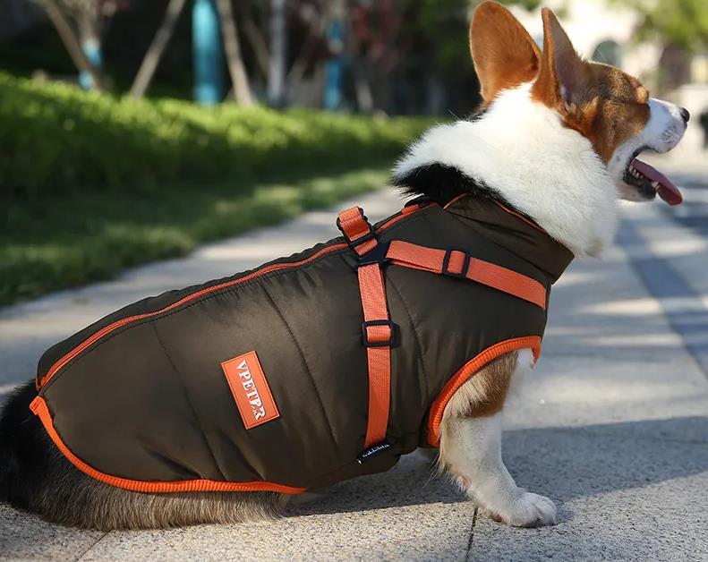 Hundemantel Winter Wasserdicht mit Geschirr Kleine -Mittlere Hunde Braun-Orange