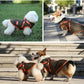Hundemantel Winter Wasserdicht mit Geschirr Kleine -Mittlere Hunde Braun-Orange