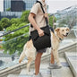 Hundetragetasche, Notfallrucksack, Hebehilfe bei Gelenkverletzungen, Schwäche