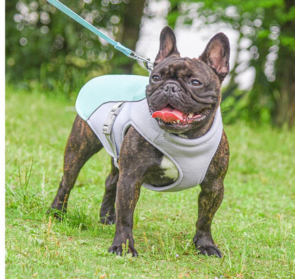 Hunde Kühlweste für Warme Sommertage und im Winter wärmend